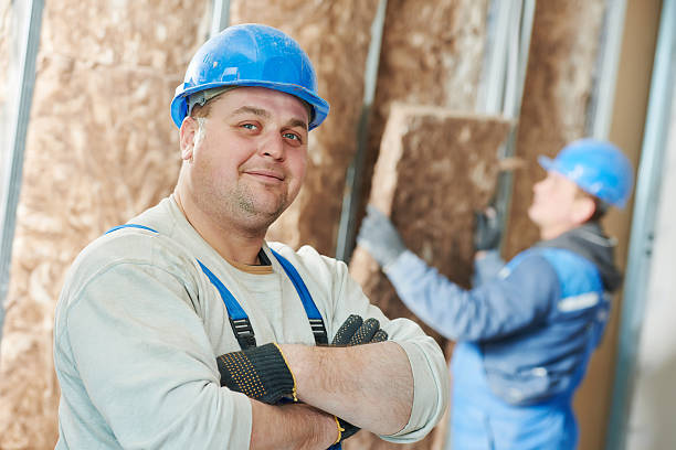 Best Spray Foam Insulation  in Breckenridge, MN